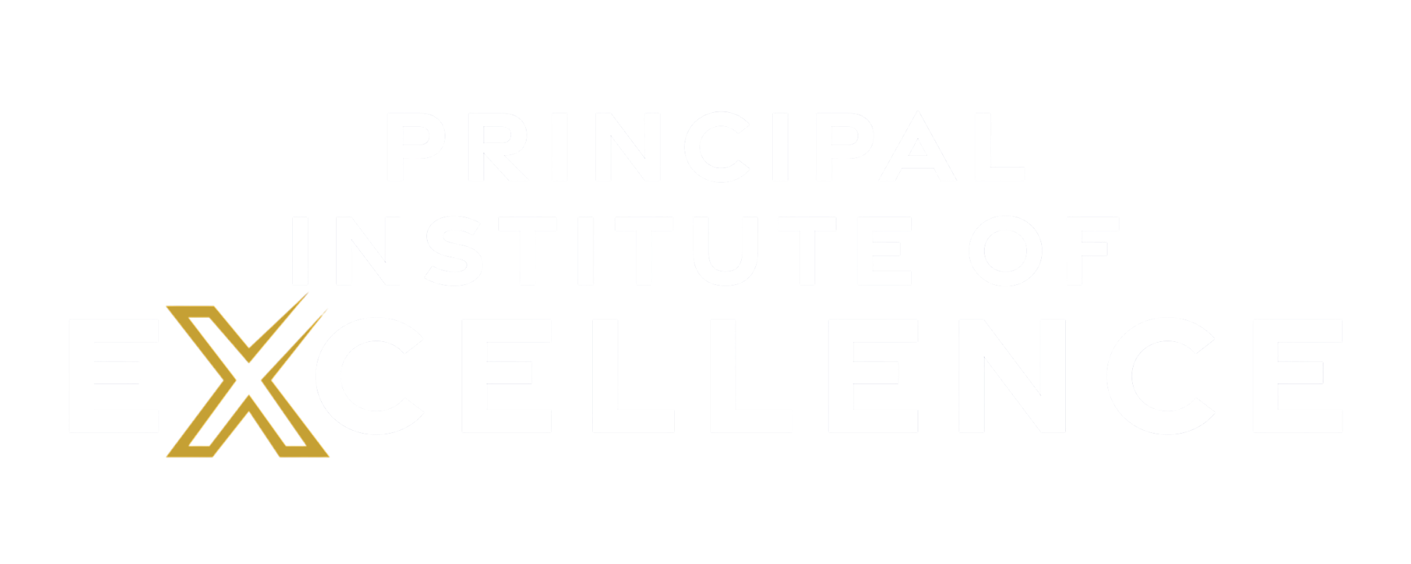 Principal Institute of Excellence